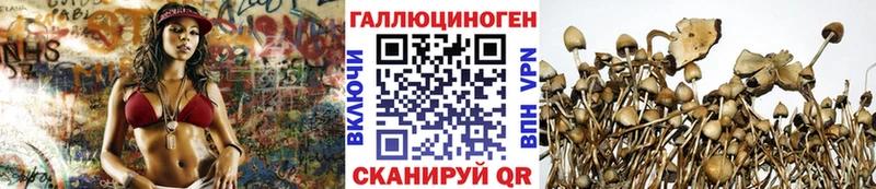Псилоцибиновые грибы MAGIC MUSHROOMS  Купить  Красный Холм 